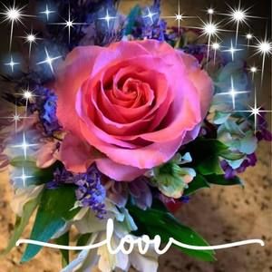 Meet your Posher, Mary ann